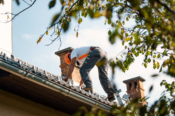 Best Best Roofing Contractors  in Nekoosa, WI