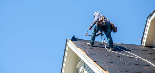 Best Shingle Roofing Installation  in Nekoosa, WI